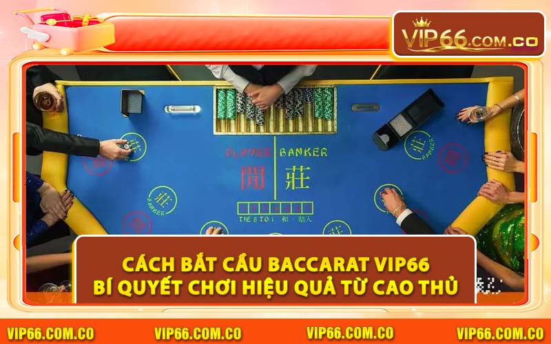 Cách Bắt Cầu Baccarat VIP66: Bí Quyết Chơi Hiệu Quả Từ Cao Thủ