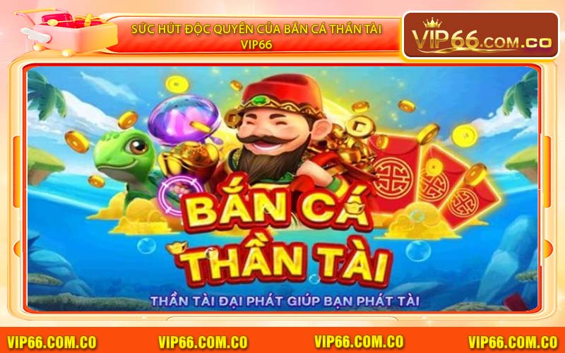 Kĩ Thuật Săn Cá Cơ Bản Để Tối Ưu Hóa Vốn