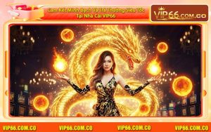 Cam Kết Minh Bạch Và Trả Thưởng Siêu Tốc Tại Nhà Cái VIP66